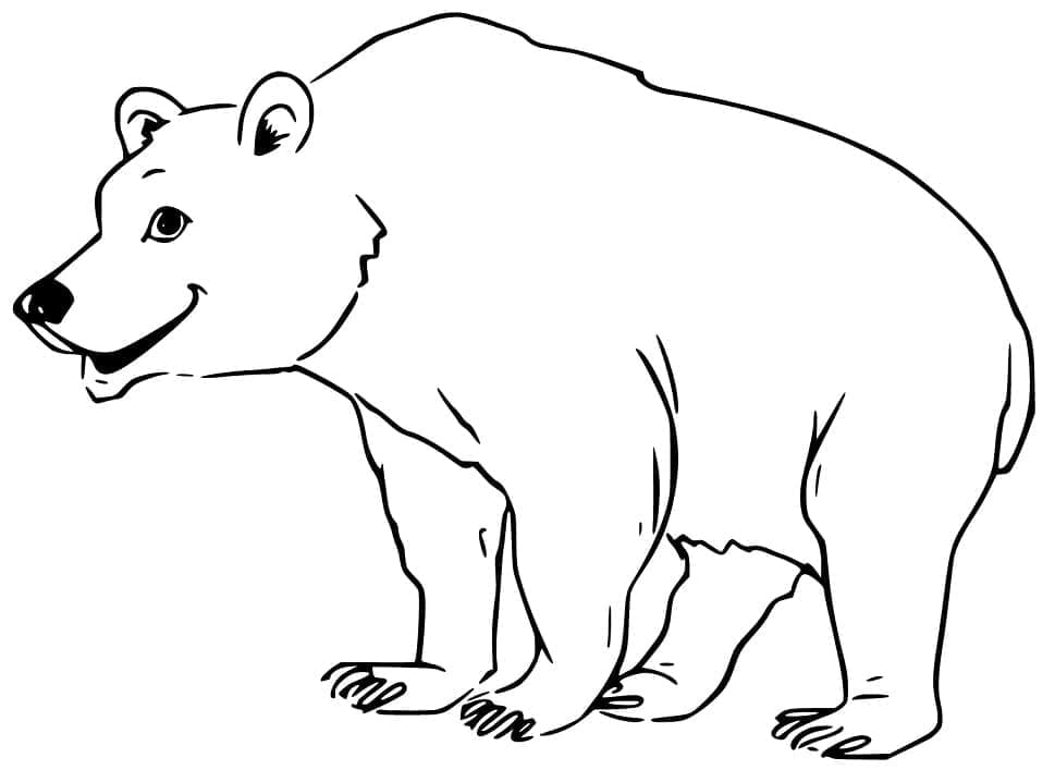 Ours Souriant coloring page