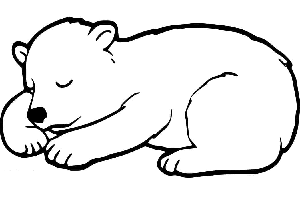 Ourson coloring page