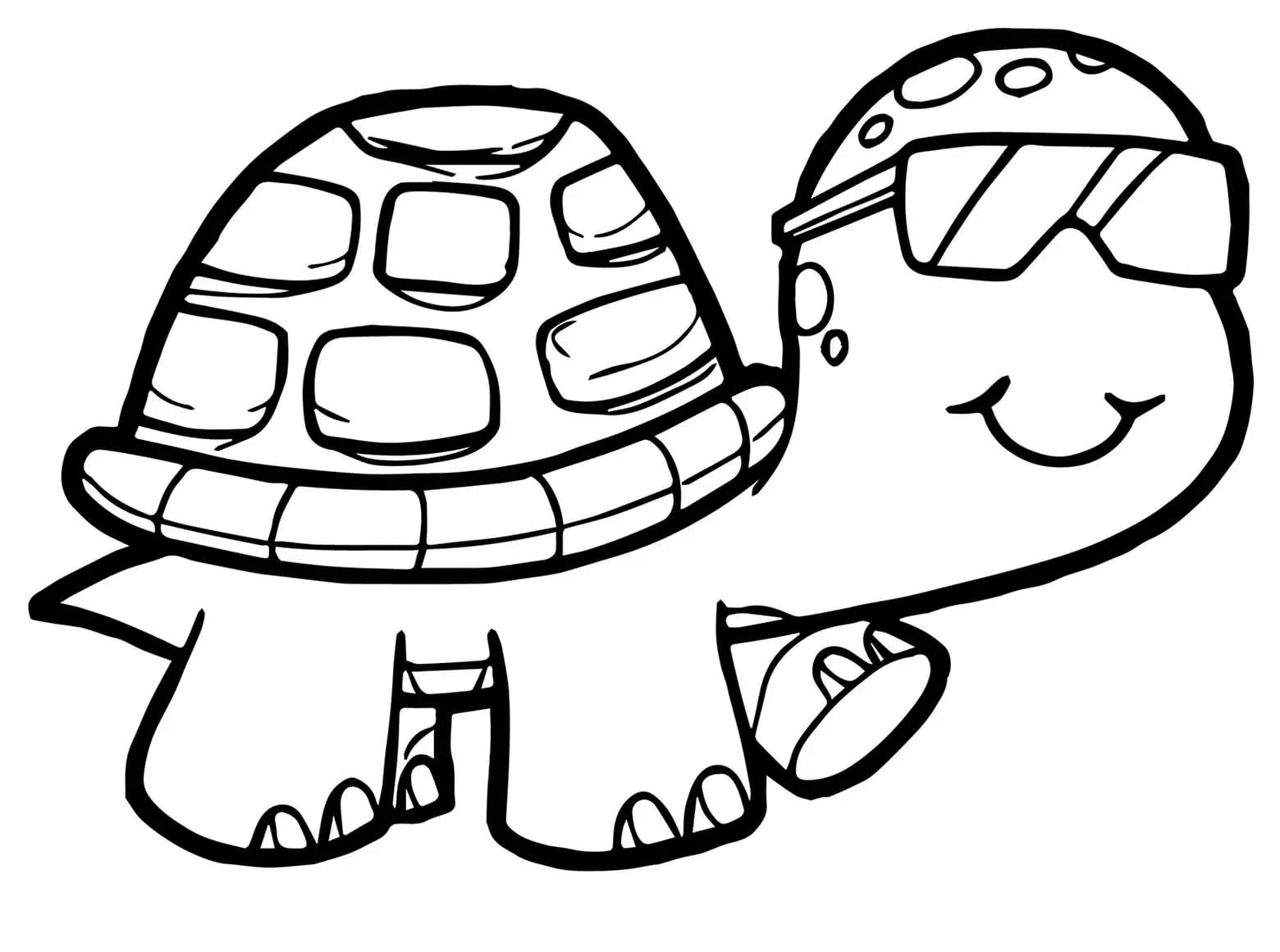 Petite Tortue coloring page