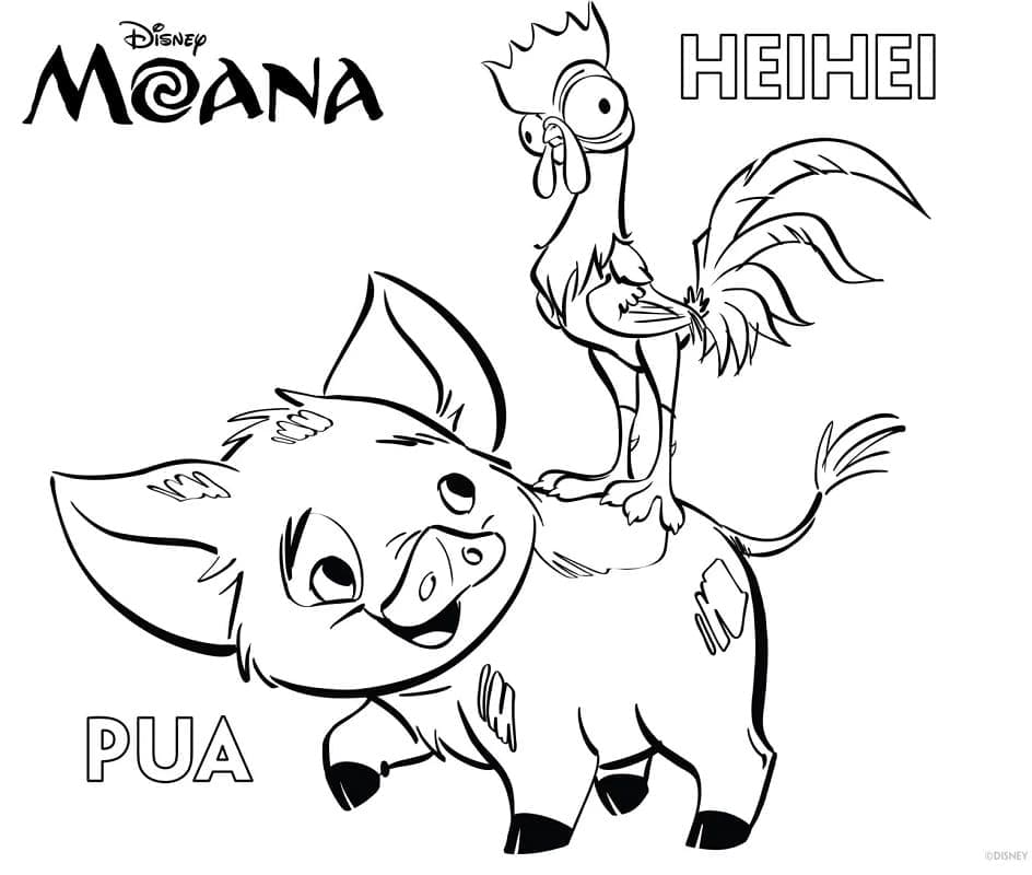 Pua et Hei Hei de Vaiana coloring page