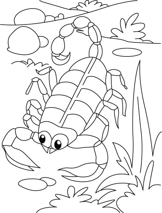 Scorpion Mignon coloring page