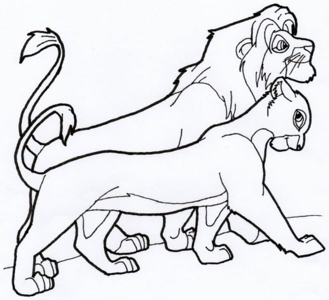 Simba et Nala 1 coloring page