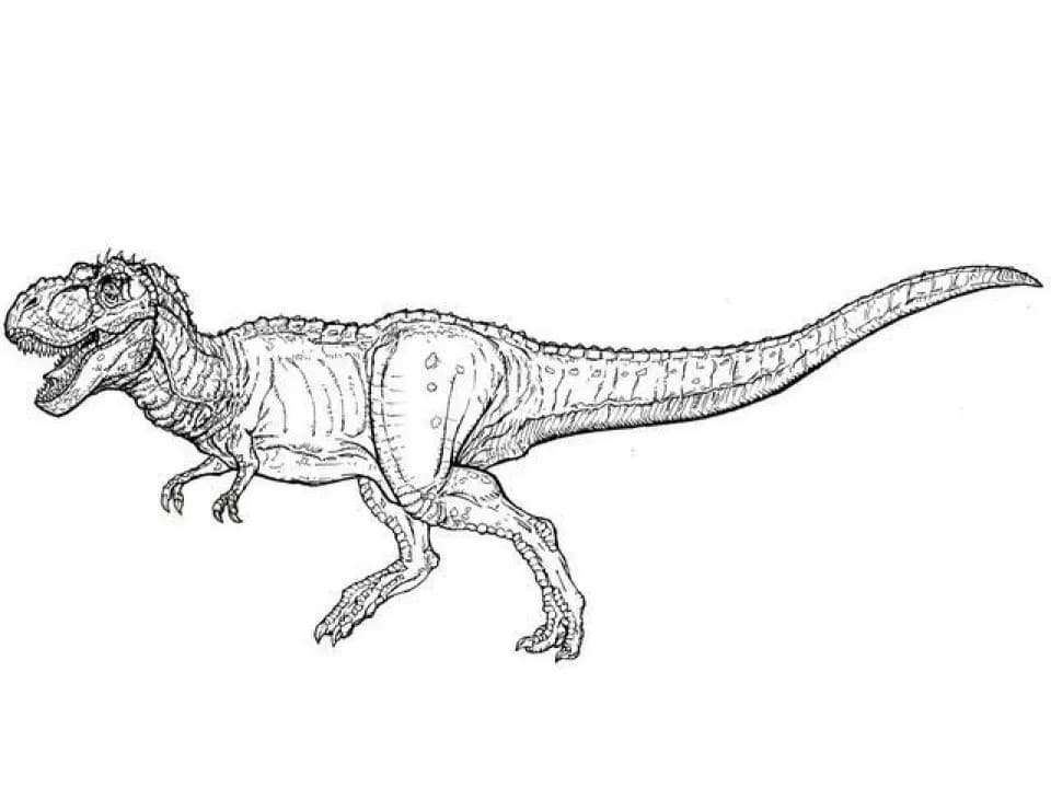 T-Rex Effrayant coloring page