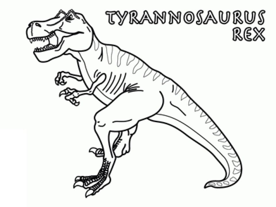 Coloriage T-Rex Gratuit Pour les Enfants