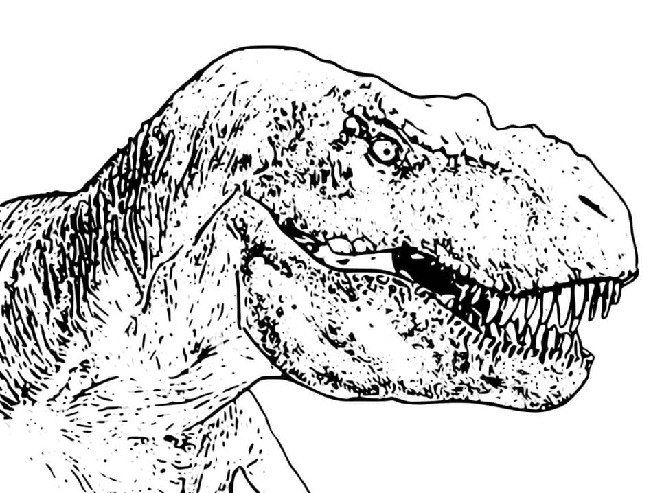Tête de T-Rex coloring page