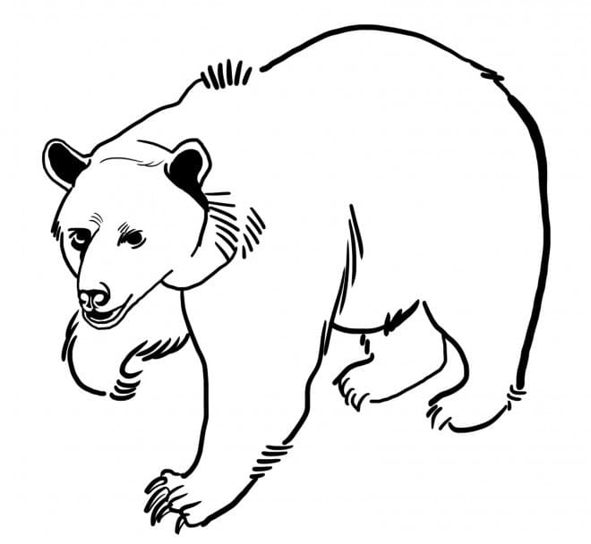 Un Ours coloring page