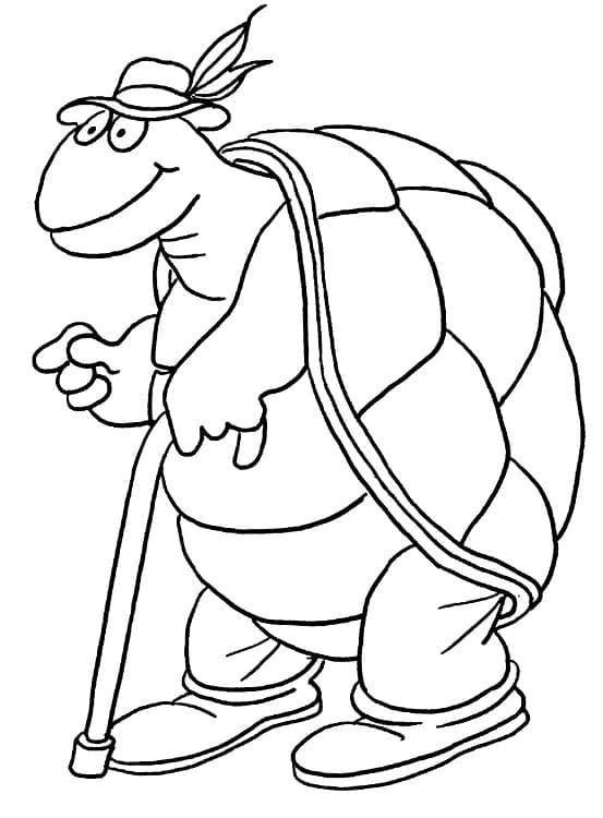 Coloriage Vieille Tortue