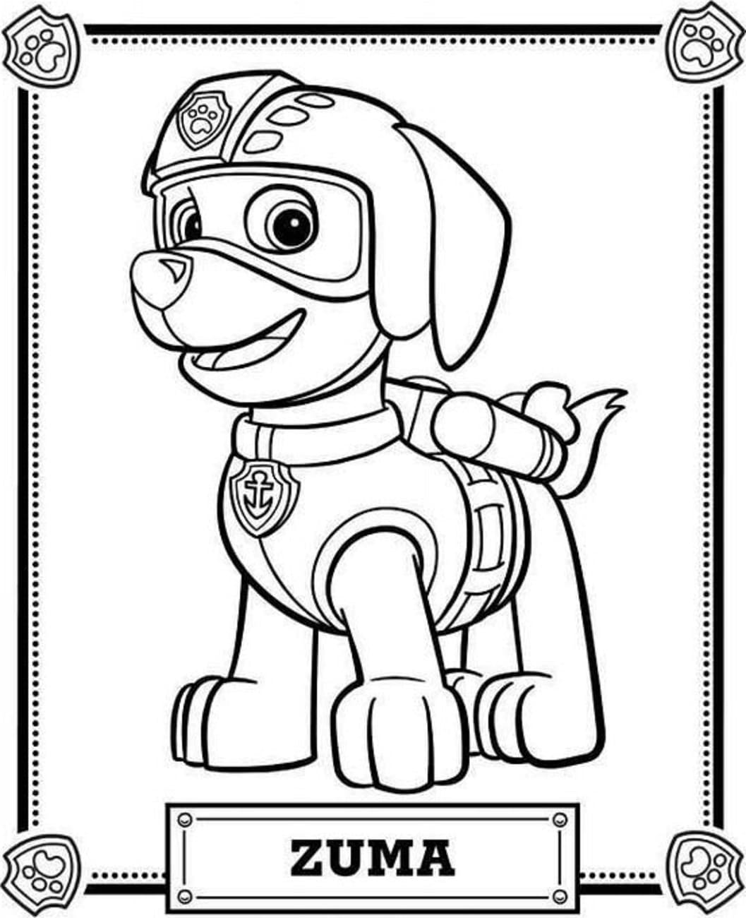 Zuma Souriant coloring page