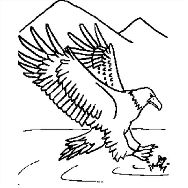 Aigle Attrape du Poisson coloring page
