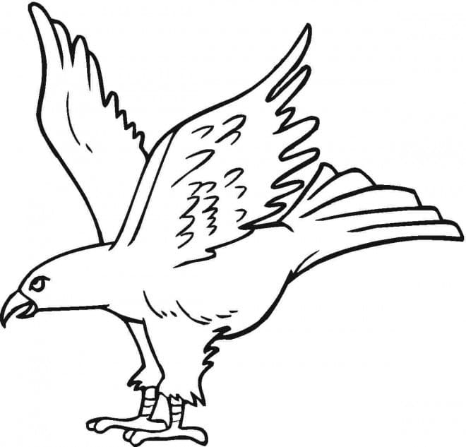 Aigle Maternelle coloring page