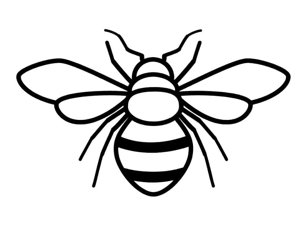 Abeille Normale coloring page