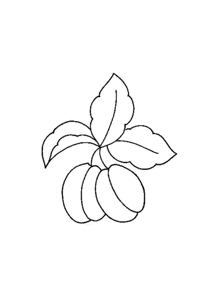 Abricots Faciles coloring page