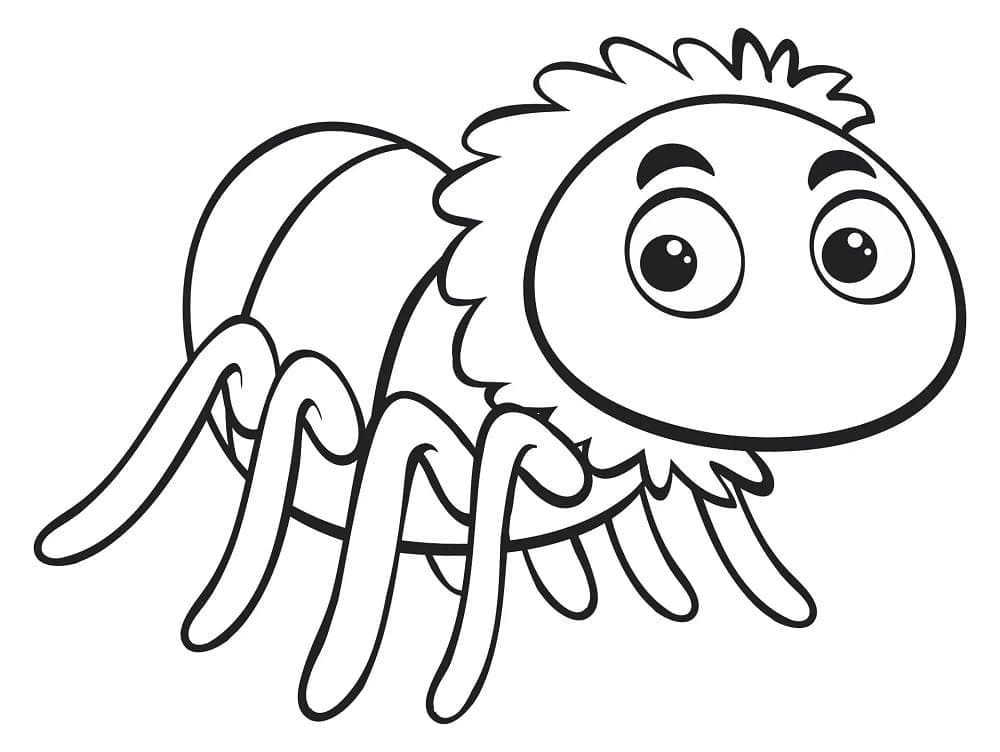 Adorable Araignée coloring page