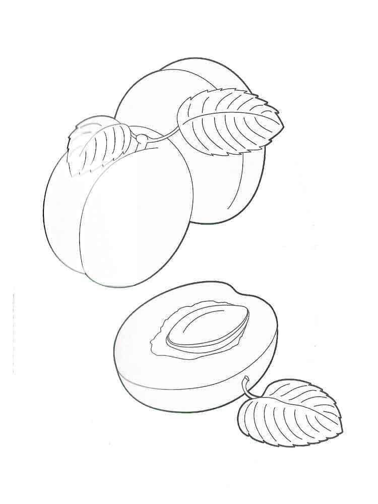 Apricots 1 coloring page