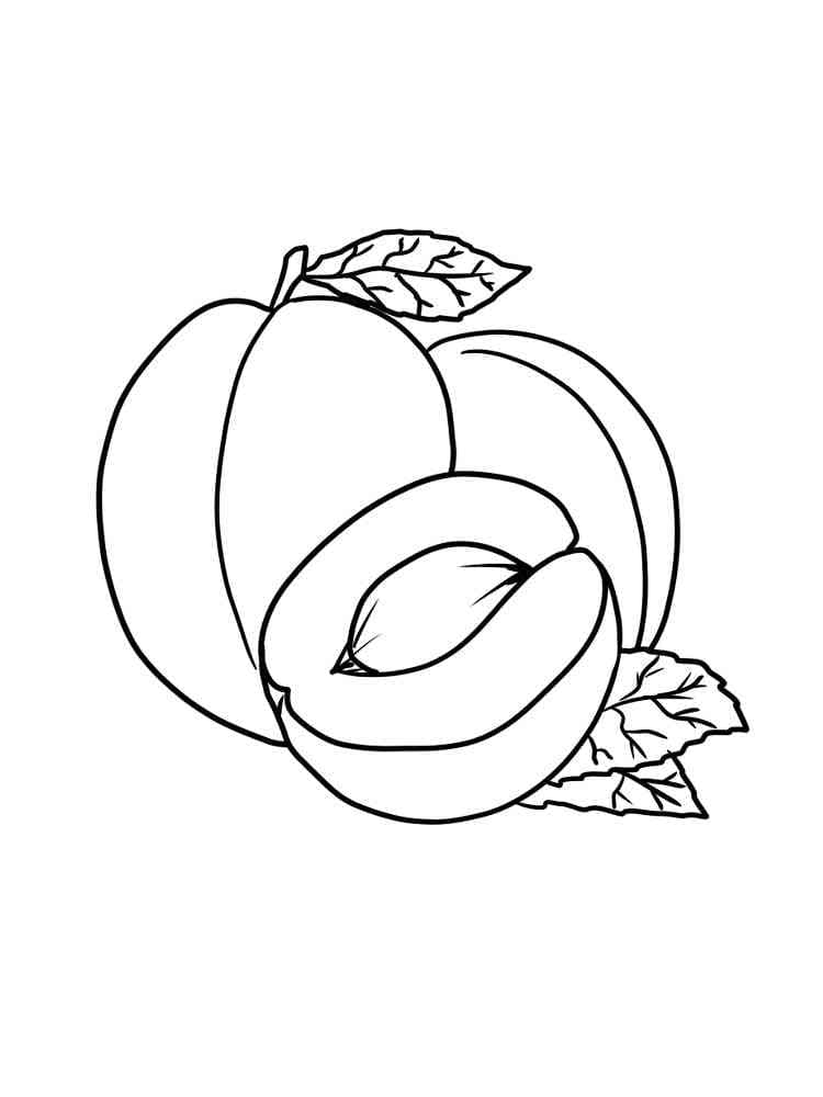 Apricots 4 coloring page