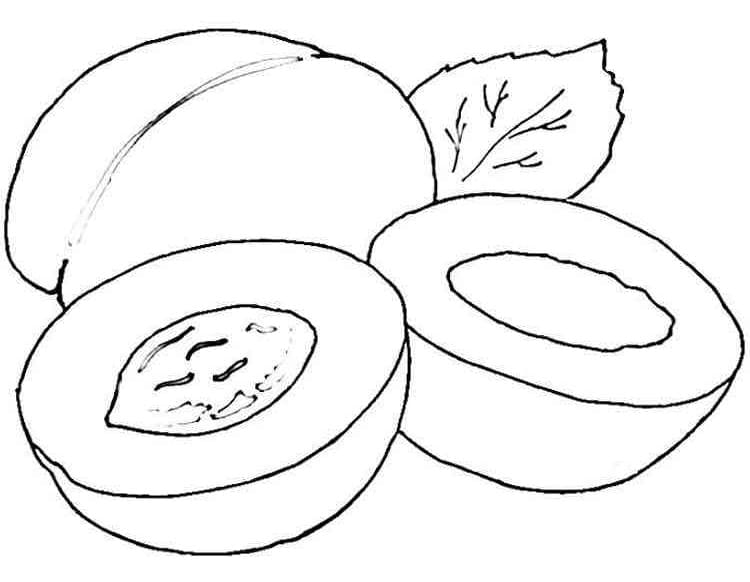 Apricots coloring page