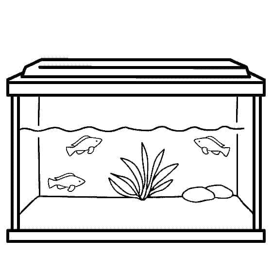 Aquarium de Base coloring page