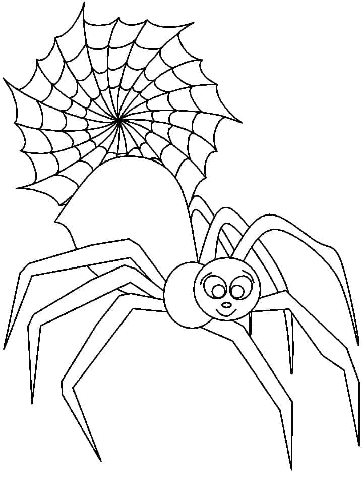 Araignée et Toile d’araignée coloring page