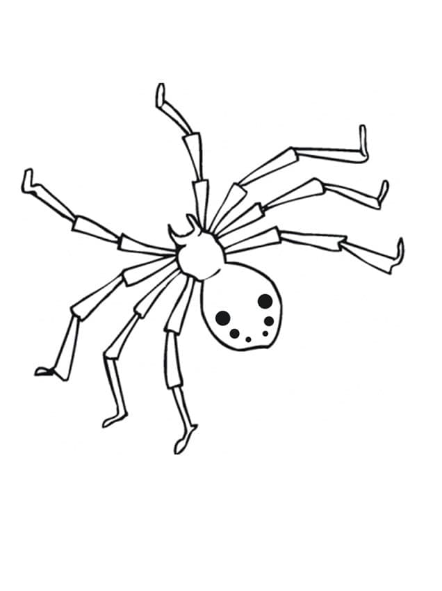 Araignée Gratuite coloring page