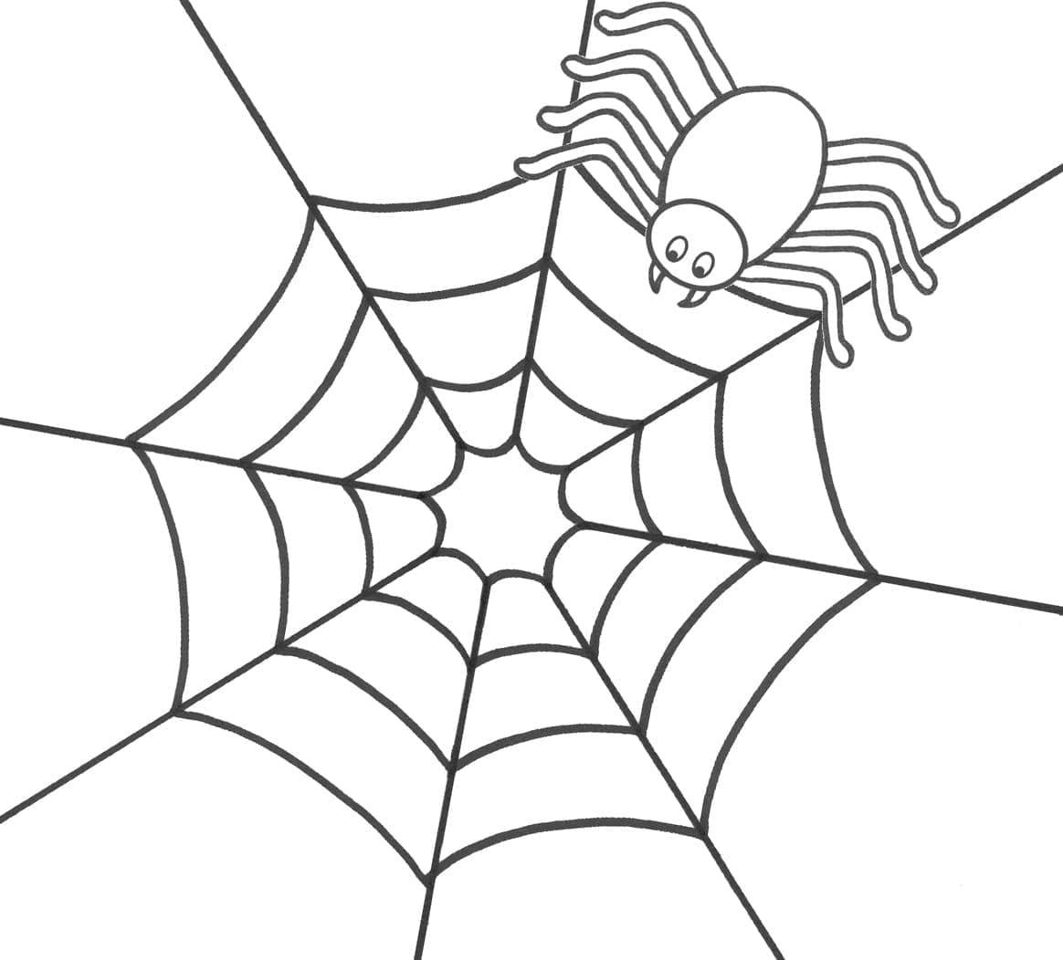 Araignée Simple coloring page