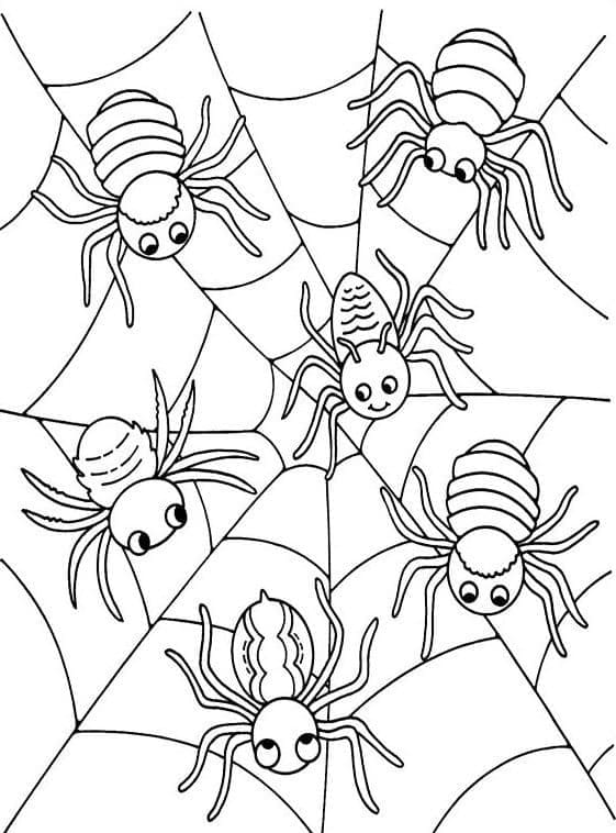Araignées coloring page