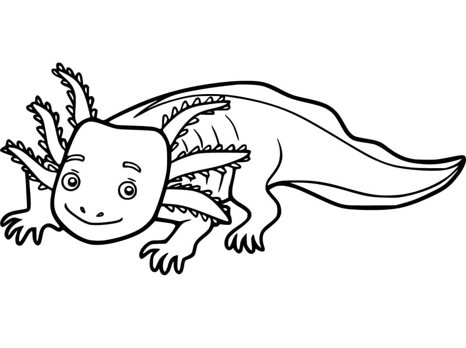 Coloriage Axolotl de Dessin Animé