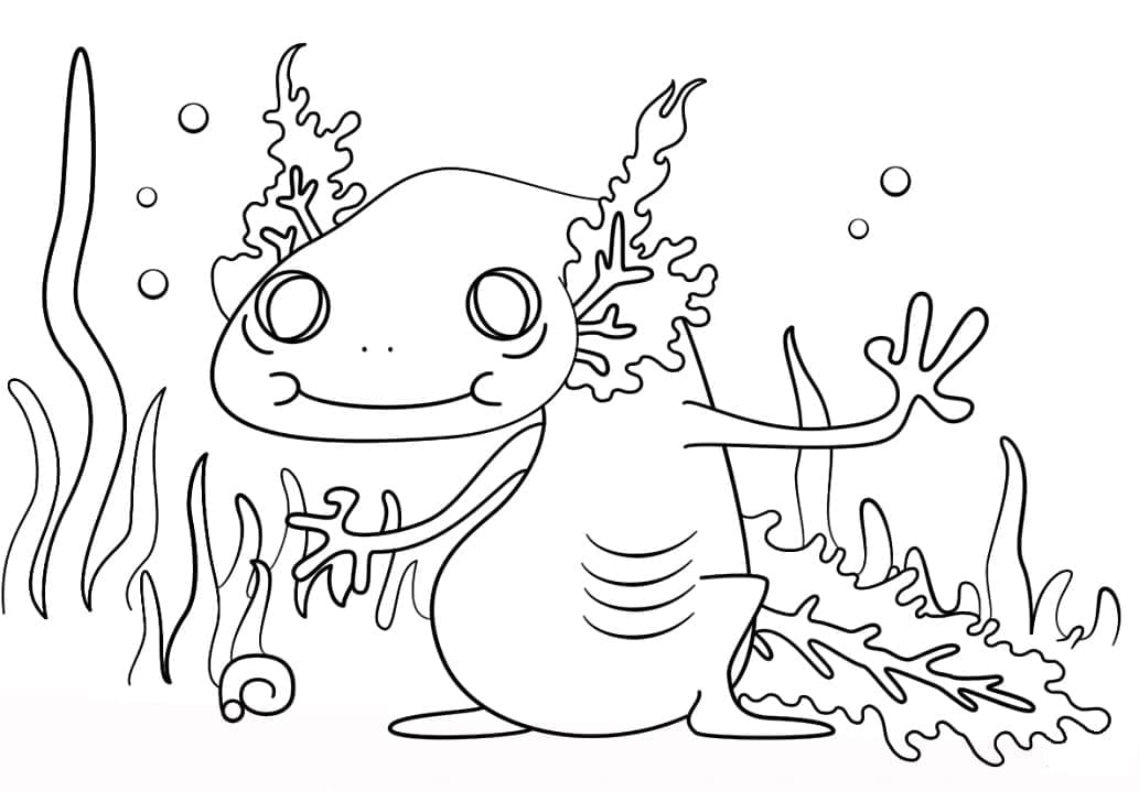 Coloriage Axolotl Gratuit Pour les Enfants