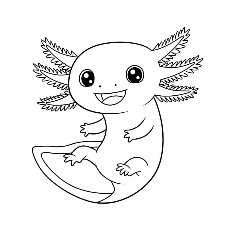 Coloriage Axolotl Imprimable