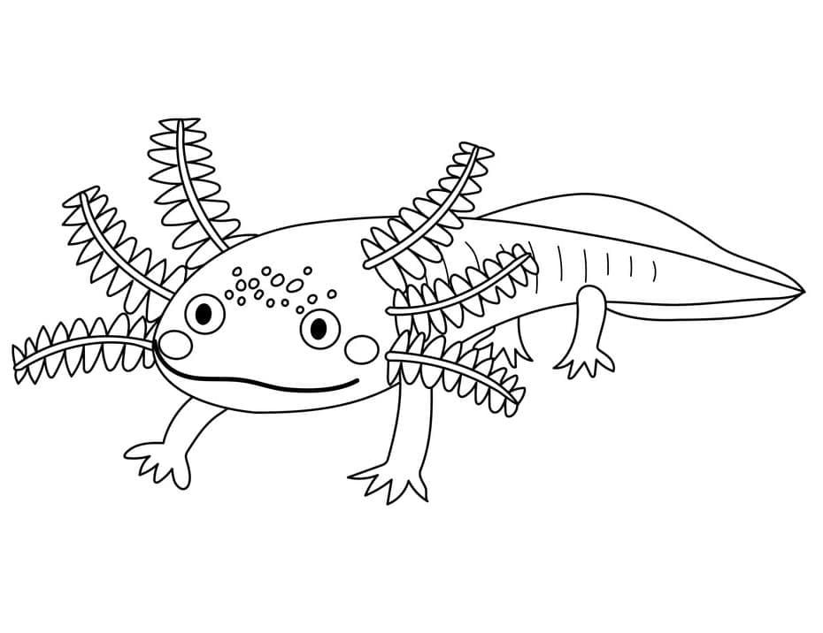 Coloriage Axolotl Souriant