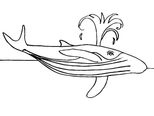 Baleine 3 coloring page