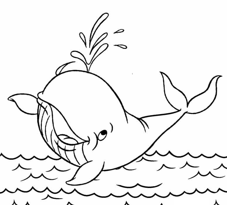 Coloriage Baleine de Dessin Animé