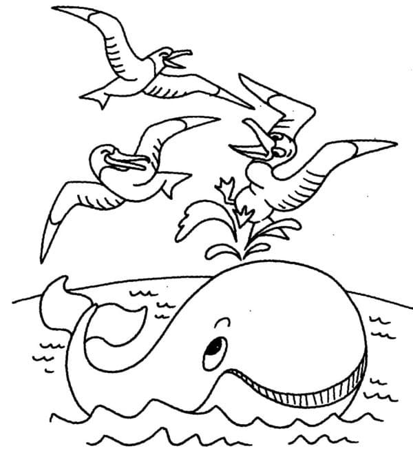 Baleine et Mouettes coloring page