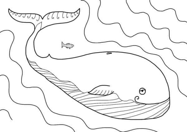 Baleine et Poisson coloring page