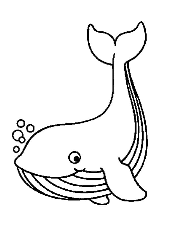 Baleine Heureuse coloring page