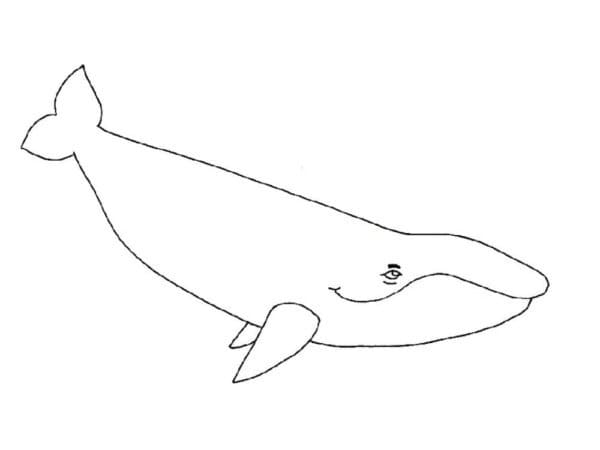 Coloriage Baleine Très Simple