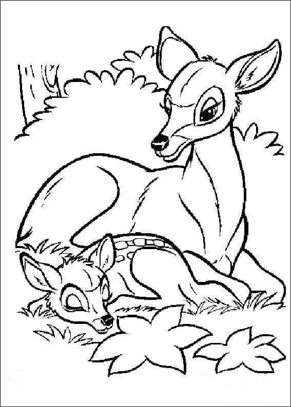 Coloriage Bambi Pour les Enfants
