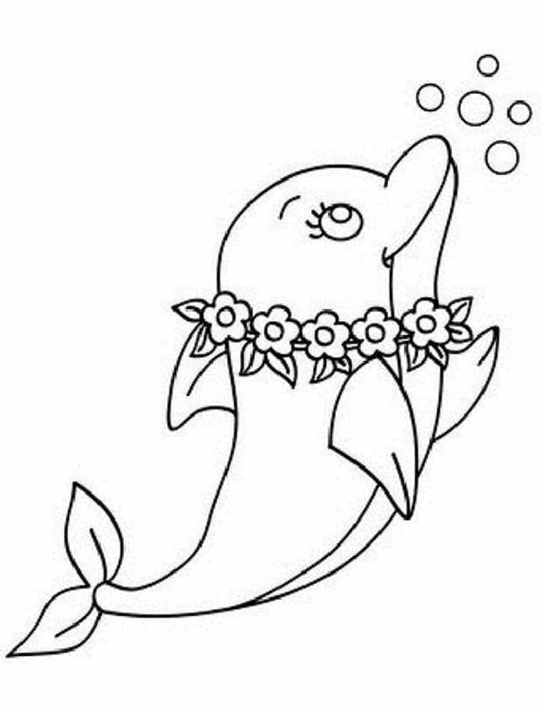 Beau Dauphin coloring page