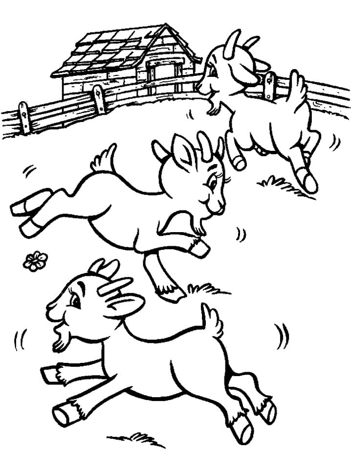 Chèvres à la Ferme coloring page