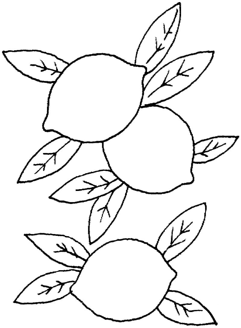 Citrons coloring page