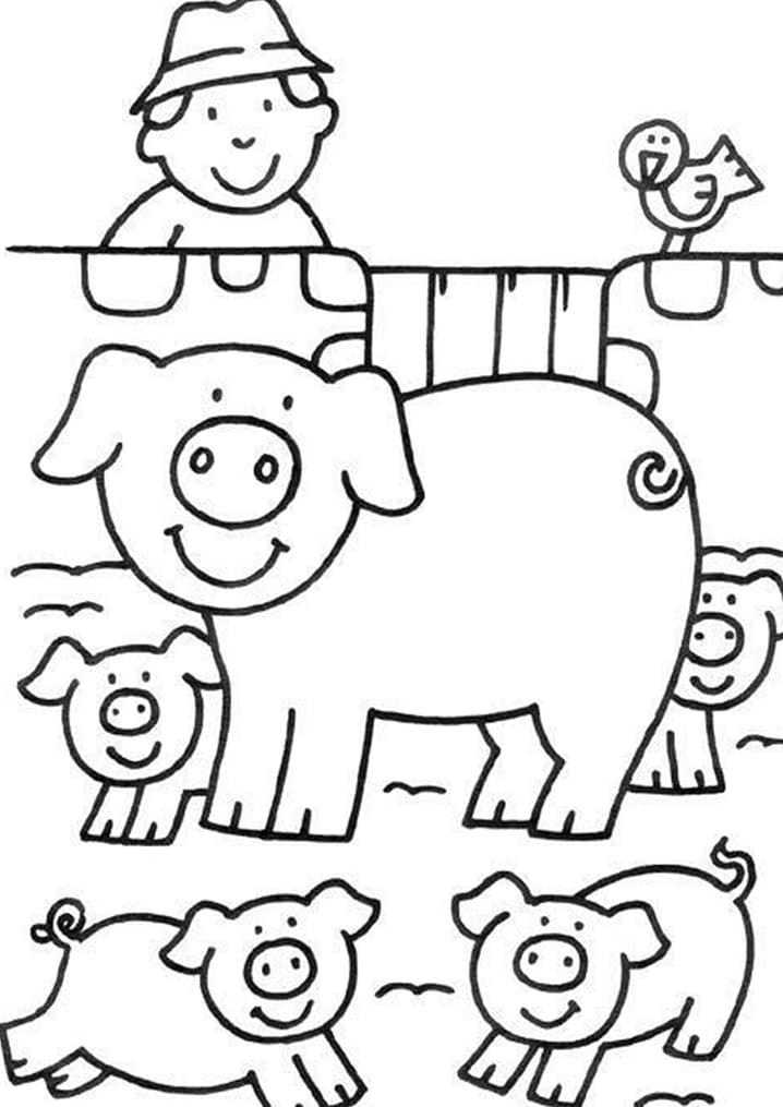 Cochons à la Ferme coloring page