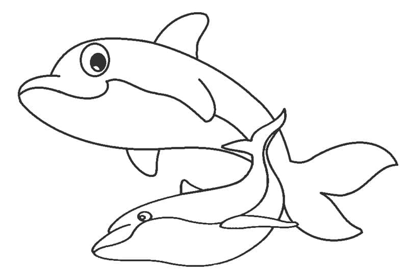 Dauphins Mignons coloring page