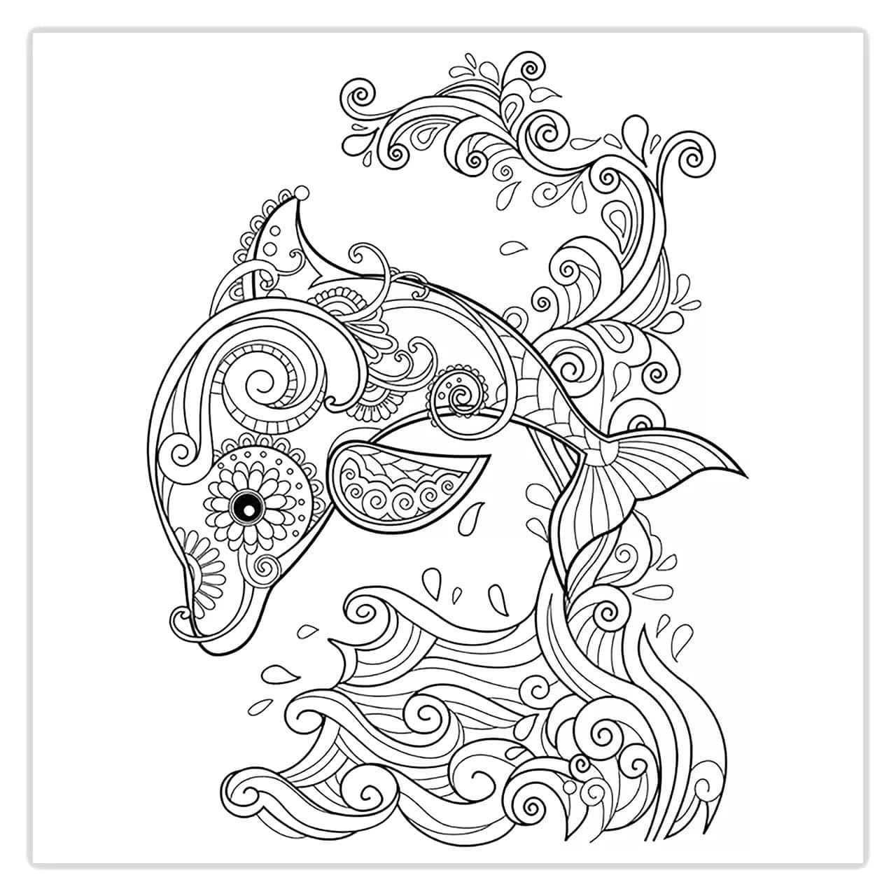 Dessin De Dauphin Magnifique coloring page