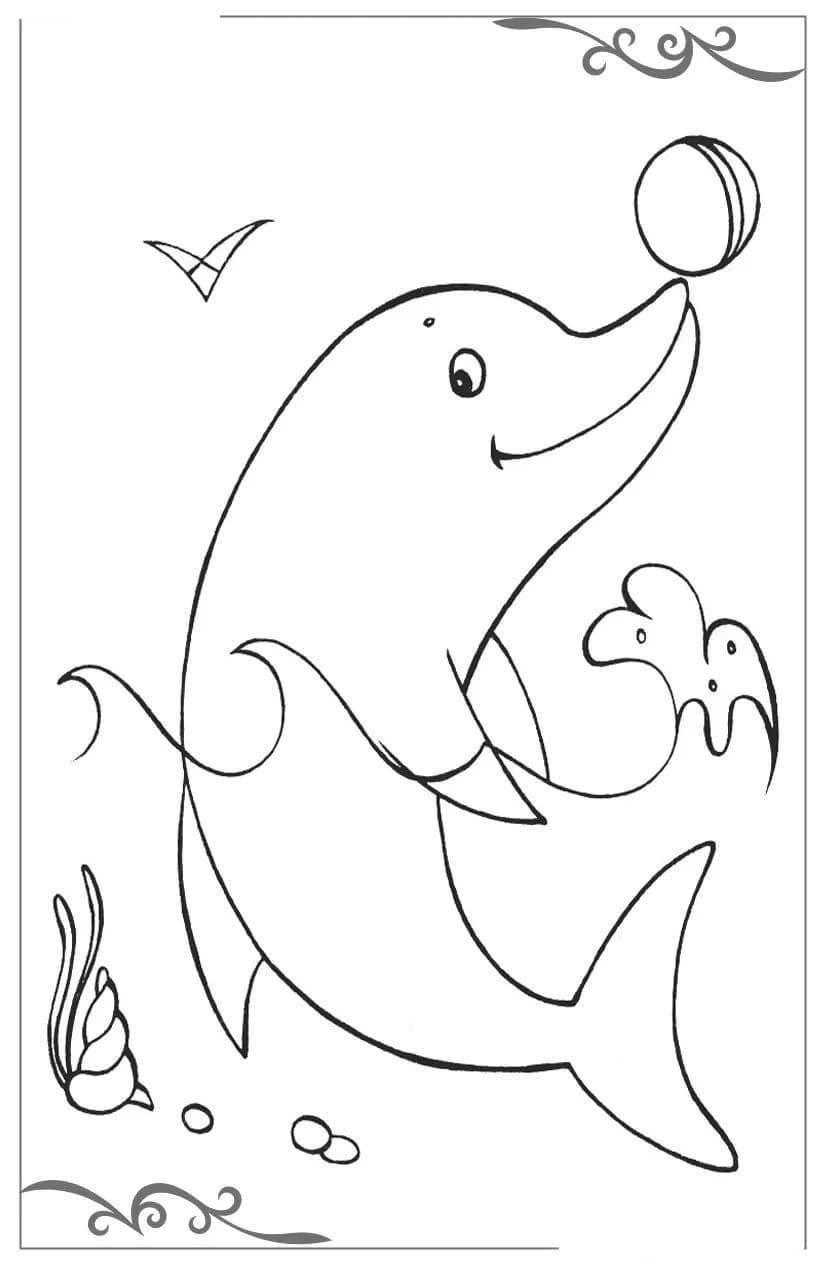 Dessin De Un Dauphin Et Une Balle coloring page