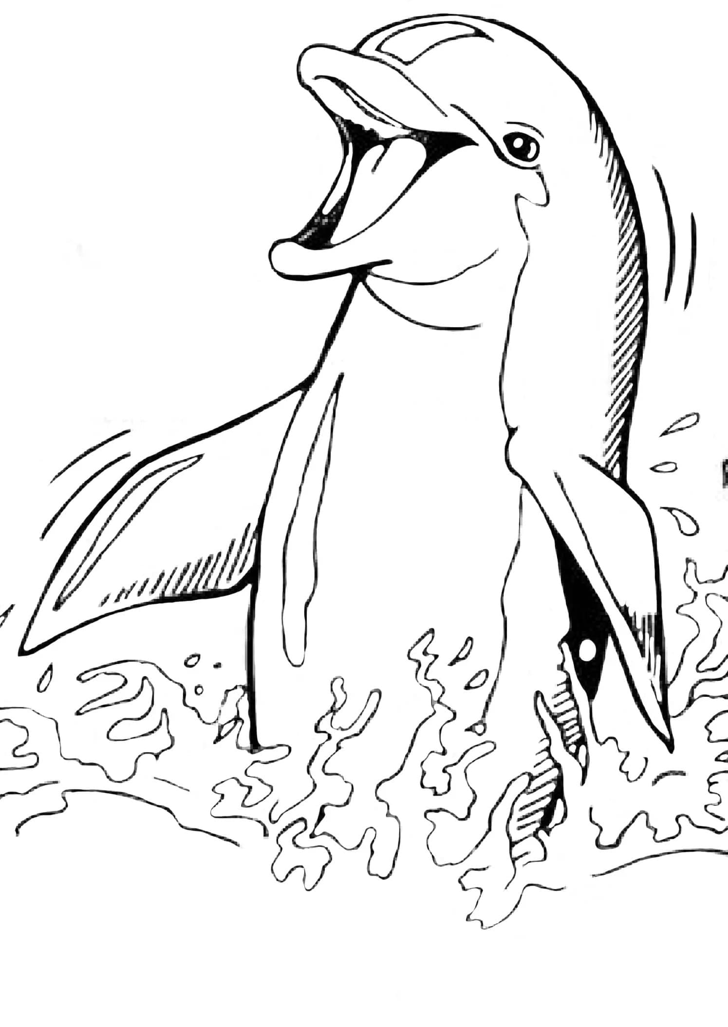 Dessin De Un Dauphin Sympathique coloring page