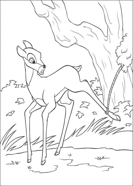 Féline coloring page