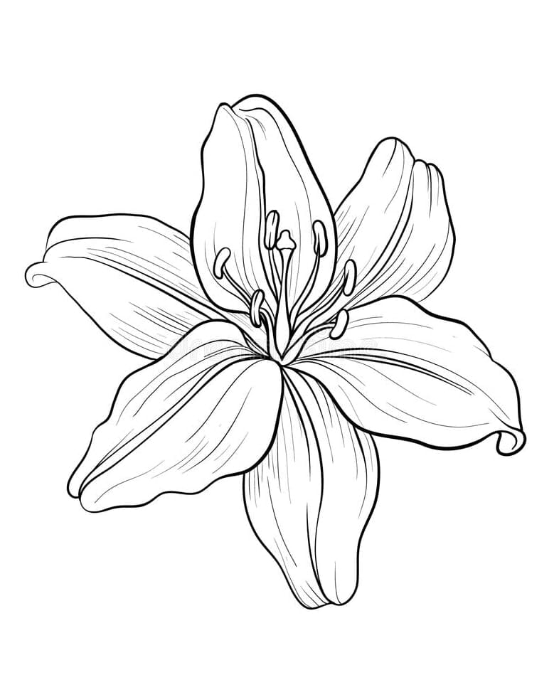Coloriage Fleur de Lys 1