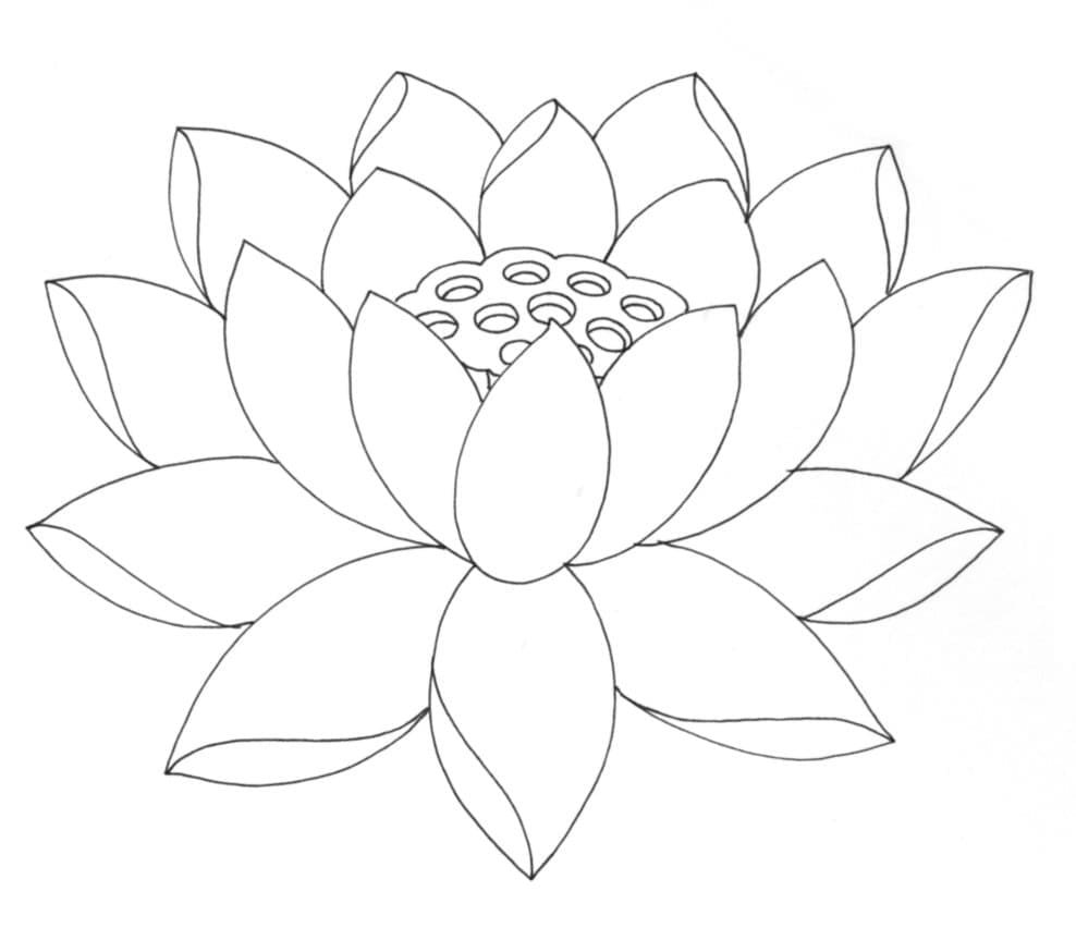 Coloriage Jolie Fleur de Lotus