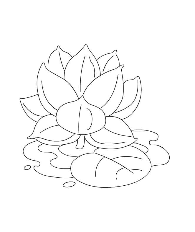 Coloriage Lotus