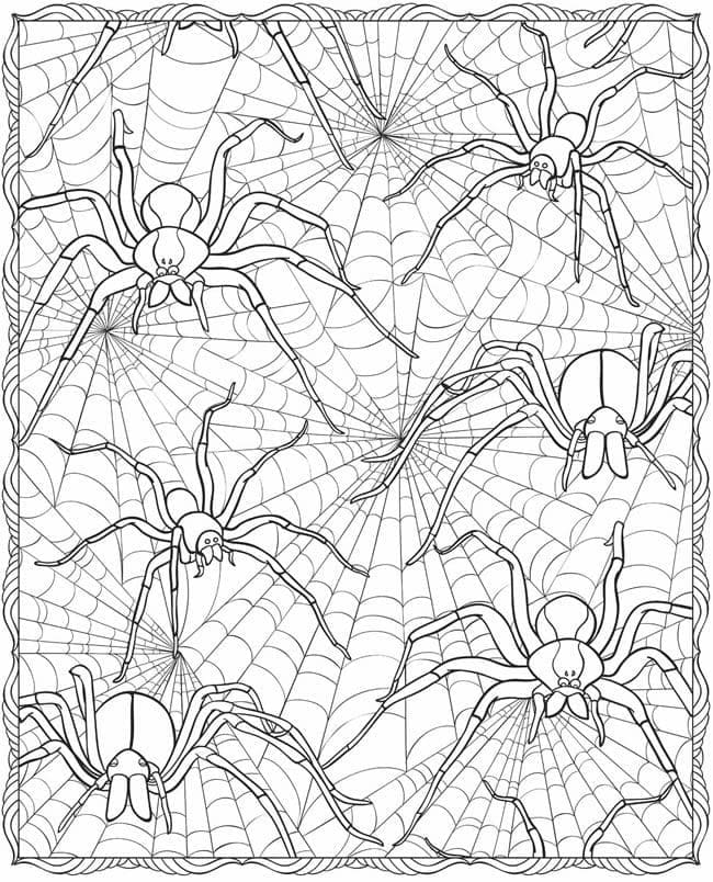 Coloriage Motif d'araignées