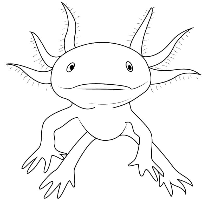 Petit Axolotl coloring page